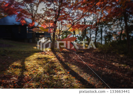 Autumn leaves on Lake Ashi, from Kojiri Hideaway 133663441