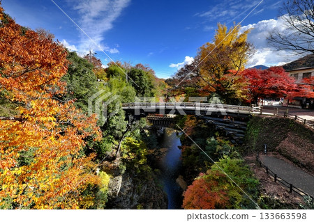 Autumn leaves at Saruhashi Bridge① 133663598