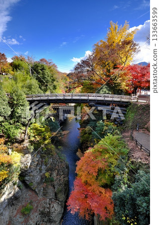 Autumn leaves at Saruhashi Bridge② Autumn leaves at Saruhashi Bridge② 133663599