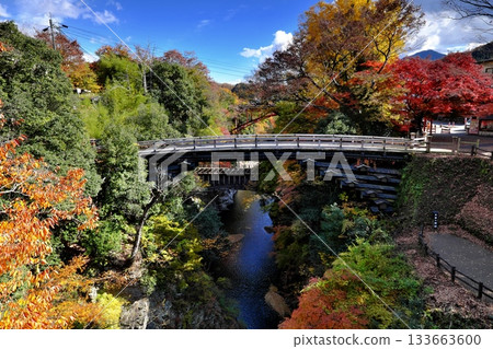 猿橋的秋葉 ③ 133663600