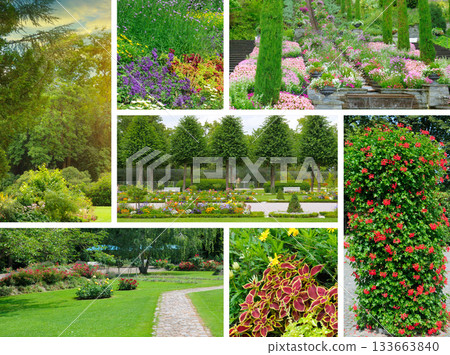 Garden and Park Design Collage with Various Floral and Greenery Views Garden and Park Design Collage with Various Floral and Greenery Views 133663840