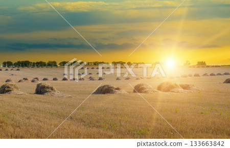 Golden Sunset Over Harvested Field with Haystack Rows Golden Sunset Over Harvested Field with Haystack Rows 133663842