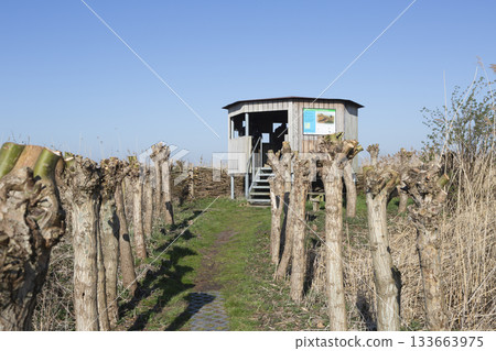 Bird observation hut Rietland in Elburg near Drontermeer lake, a peaceful spot for nature lovers Bird observation hut Rietland in Elburg near Drontermeer lake, a peaceful spot for nature lovers 133663975