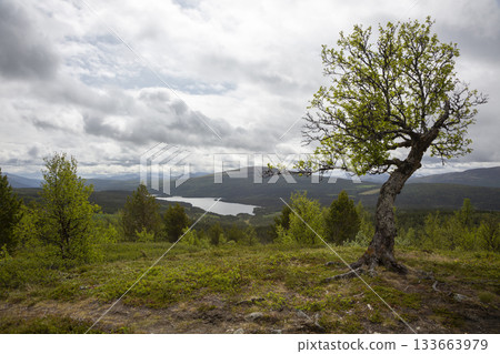 Serene view of Lake Flatningen from the slopes of Strondsaeterhoe mountain in Vang Municipality, Norway Serene view of Lake Flatningen from the slopes of Strondsaeterhoe mountain in Vang Municipality, Norway 133663979