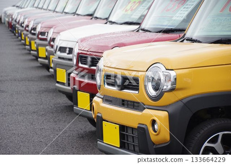 二手車圖片 經銷商處排隊的輕型車 133664229