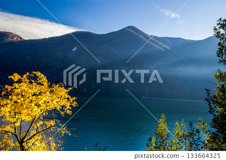 AMAZING VIEW from Olive trail in suburb of Lugano AMAZING VIEW from Olive trail in suburb of Lugano 133664325