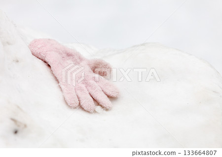 One glove on snow 133664807