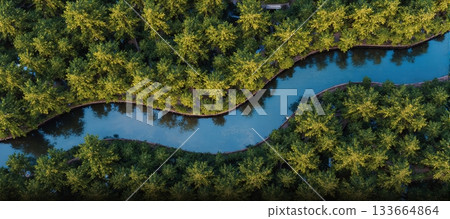 A winding blue river flows through lush green forest - ai generated 133664864