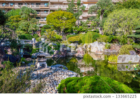 Pond in Japanese garden , in monaco (Monte Carlo) at summer 133665225