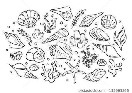 big vector set, seashells, corals, algae, sea sponges, underwater marine life, simple vector black and white icons 133665256