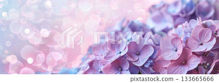 Beautiful pastel hydrangeas bloom with delicate petals, showcasing a soft blend of colors that captures the essence of spring in a gentle, dreamy setting Beautiful pastel hydrangeas bloom with delicate petals, showcasing a soft blend of colors that captures the essence of spring in a gentle, dreamy setting 133665666