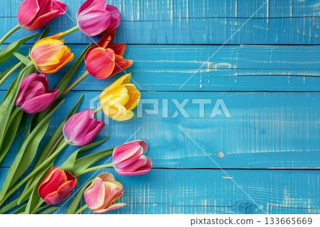 Bright tulips in shades of pink, yellow, and red stand out against a vivid blue wooden background, celebrating the beauty of springtime flowers in full bloom Bright tulips in shades of pink, yellow, and red stand out against a vivid blue wooden background, celebrating the beauty of springtime flowers in full bloom 133665669