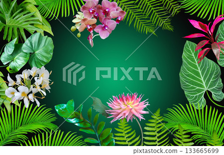 Tropical leaves. Vibrant green foliage of plants on green color background Tropical leaves. Vibrant green foliage of plants on green color background 133665699