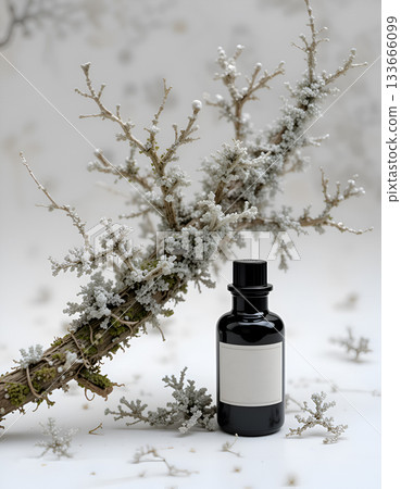 oakmoss, with essence of oakmoss against white background. conceptual digital art. Ai generated 133666099