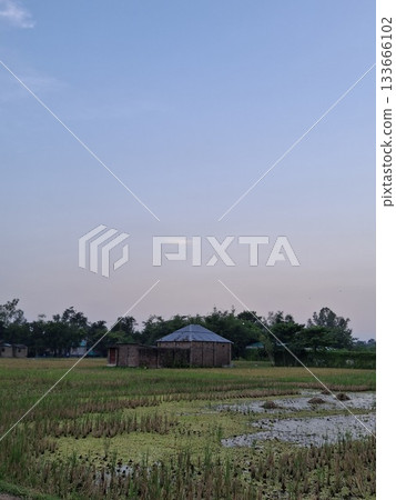Peaceful rural landscape with a distant house under a vast sky Peaceful rural landscape with a distant house under a vast sky 133666102