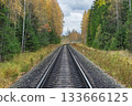 Railway line in the autumn forest. 133666125