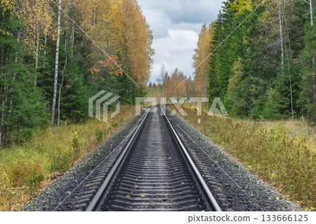 Railway line in the autumn forest. 133666125