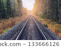 Railway line in the autumn forest. 133666126