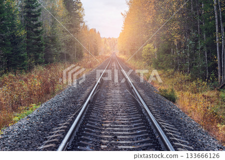 Railway line in the autumn forest. Railway line in the autumn forest. 133666126