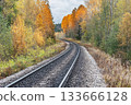 Railway line in the autumn forest. 133666128