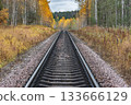 Railway line in the autumn forest. 133666129
