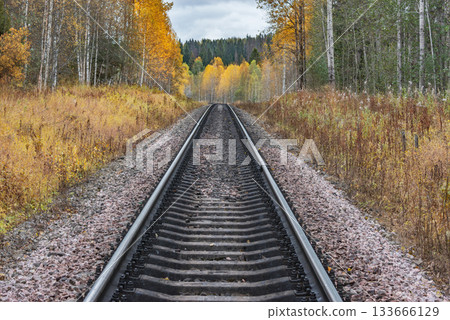 Railway line in the autumn forest. Railway line in the autumn forest. 133666129