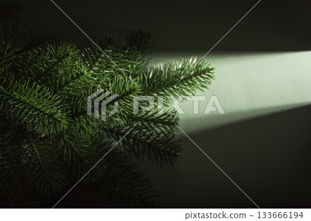 Waiting for Christmas. Pine Branches in Dramatic Light on Dark Green Background 133666194