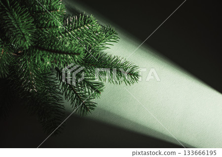 Waiting for Christmas. Pine Branches in Dramatic Light on Dark Green Background 133666195