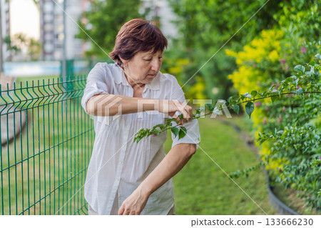 Elderly woman walking in the park, enjoying fresh air, sunlight, and peaceful nature. Concept of active aging, wellness, healthy lifestyle, positive aging, mobility, freedom, and outdoor relaxation 133666230
