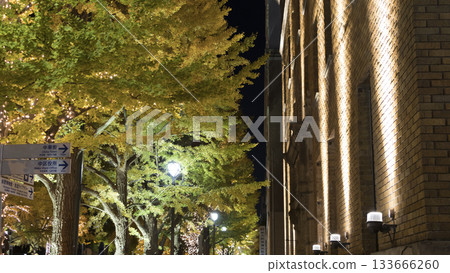 日本大通的燈光秀和秋日的銀杏葉 133666260