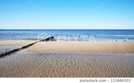 Photo of the beach in Miedzyzdroje, Poland. Photo of the beach in Miedzyzdroje, Poland. 133666301