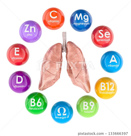 Lungs with vitamins and minerals essential for healthy lungs. 3D rendering 133666397
