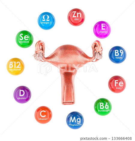 Uterus with vitamins and minerals essential for female reproductive health. 3D rendering Uterus with vitamins and minerals essential for female reproductive health. 3D rendering 133666408