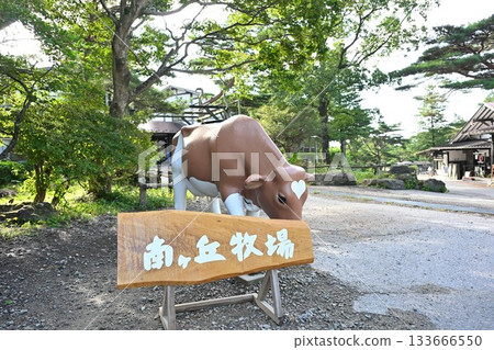 Cow display at Minamigaoka Ranch (Tochigi Prefecture) Cow display at Minamigaoka Ranch (Tochigi Prefecture) 133666550