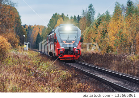 Diesel train moves in the autumn forest. 133666861