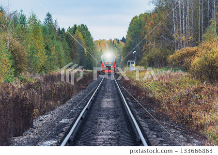 Diesel train moves in the autumn forest. 133666863