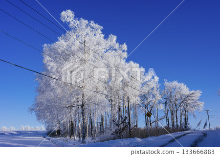 Rime and blue sky Rime and blue sky 133666883