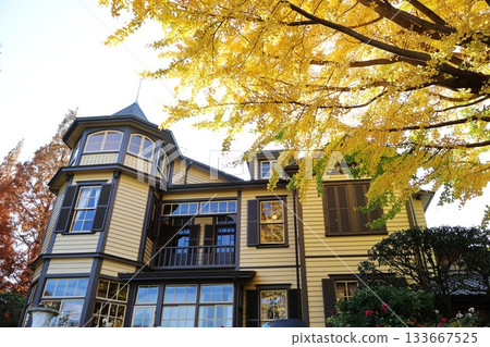 「外交官之家」的黃葉(橫濱市中區山手町) 「外交官之家」的黃葉(橫濱市中區山手町) 133667525