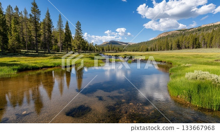 Meandering through a vibrant green meadow, yosemite national park's pristine river reflects towering mountains and pine trees under a picturesque sky filled with fluffy clouds 133667968