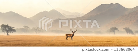 Elk with large antlers stands proudly in a misty valley at sunrise, the golden light illuminating the landscape and creating a serene atmosphere 133668064