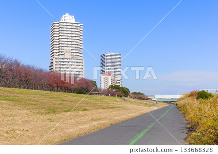 Scenery along the Arakawa Cycling Road in Tokyo in November 2025 Scenery along the Arakawa Cycling Road in Tokyo in November 2025 133668328