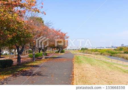 Scenery along the Arakawa Cycling Road in Tokyo in November 2025 133668330