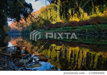 秋葉倒映在河水中。 133668980