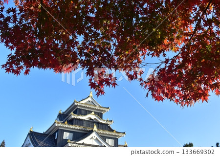 Okayama Castle Castle Okayama Okayama Castle Castle Okayama 133669302