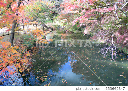 Maple Road at Osawa Pond in Kitasaga, Kyoto Maple Road at Osawa Pond in Kitasaga, Kyoto 133669847