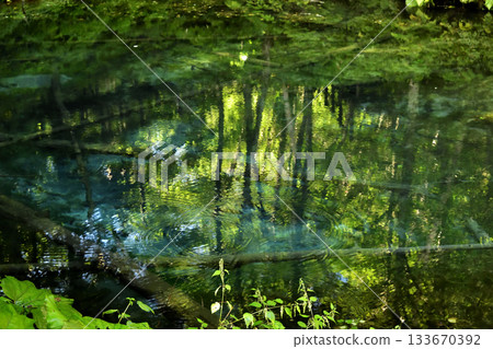 Kaminoko Pond after the rain Kaminoko Pond after the rain 133670392