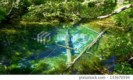 Midsummer God's Pond Midsummer God's Pond 133670594