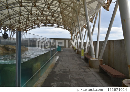 兵庫水族館 城崎海洋世界 133671024