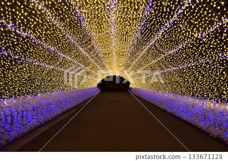 Mie Prefecture illuminations illuminations Nabana no Sato 133671128