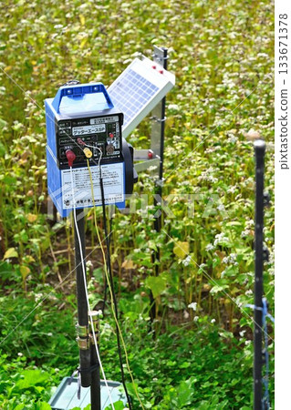 電子動物圍欄裝置 133671378